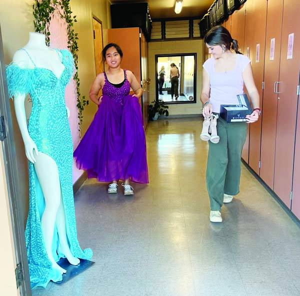 Plea for help results in deluge of prom dresses | News, Sports, Jobs - Maui  News
